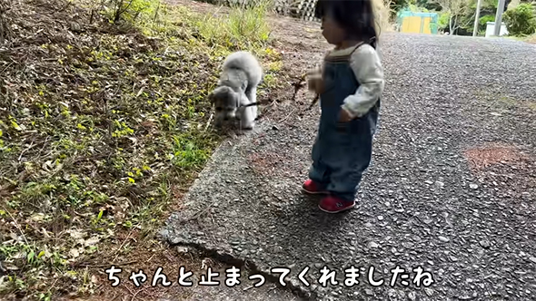 ちゃんと止まってくれました