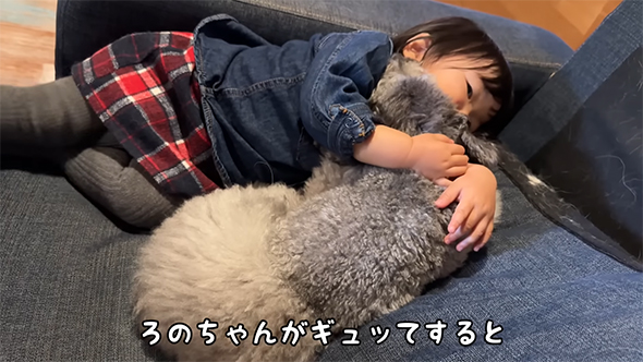 ろのちゃんがぎゅってすると