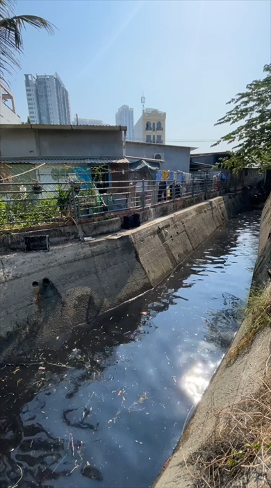 大量のごみに覆われた川を掃除する動画