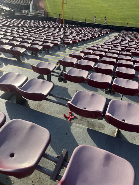 マツダスタジアム