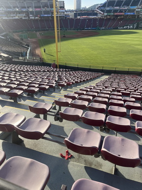 マツダスタジアム