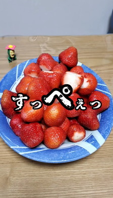 イチゴ栽培