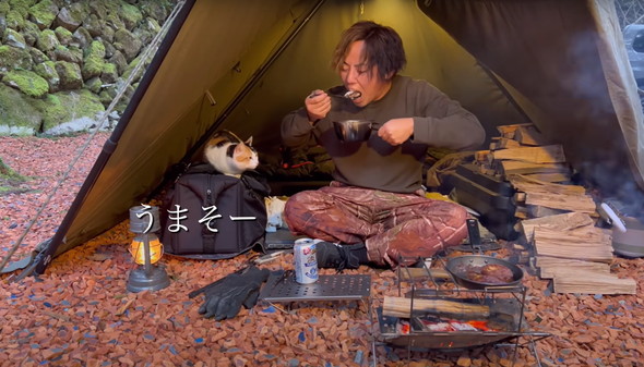 猫とキャンプ