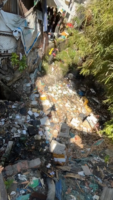 清掃　環境保全