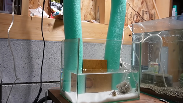 プールスティックがセットされた水槽