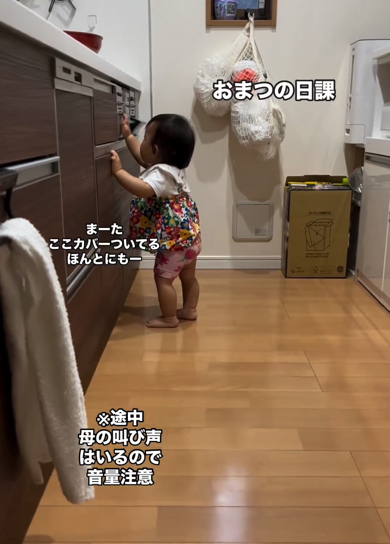 キッチンを破壊して回る赤ちゃん