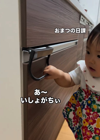 忙しくキッチンを解体する赤ちゃん