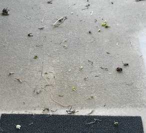 散らかるアップ