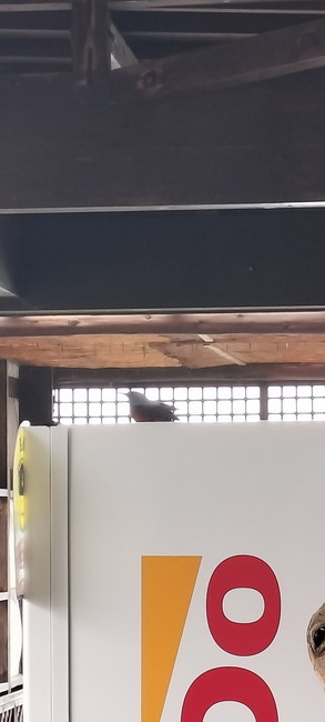 見守っていきます