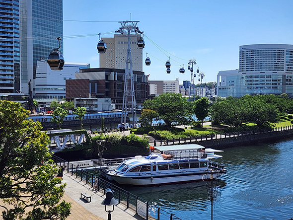 シャイニービュー