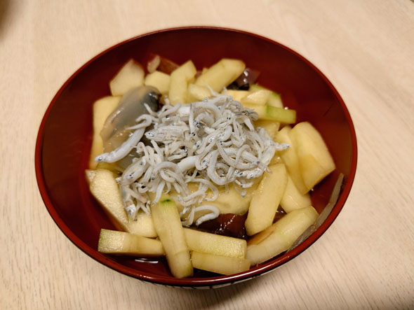 加賀太きゅうり