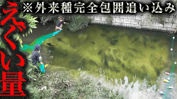 おすすめ