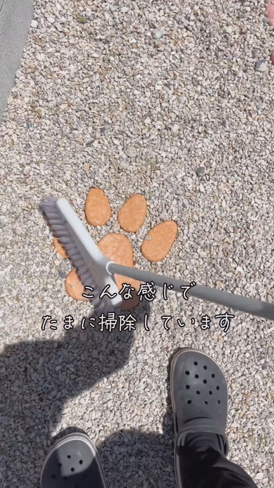 肉球型敷石を設置した状態