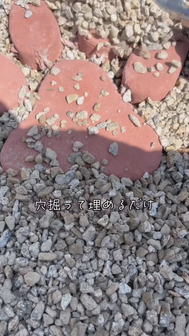 肉球型敷石を設置した状態