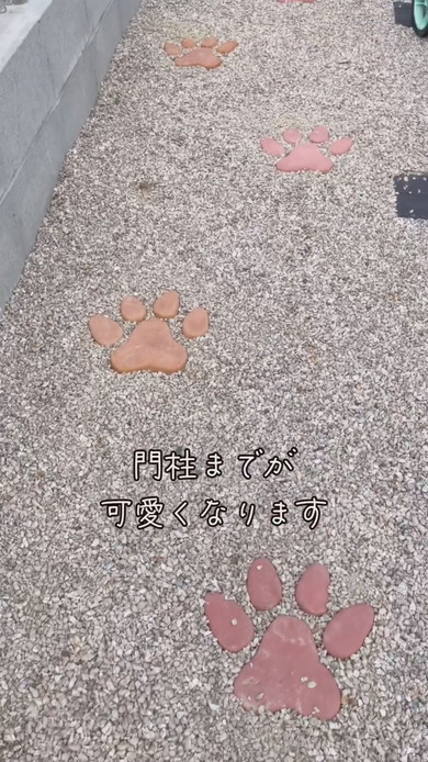 肉球型敷石を設置した状態