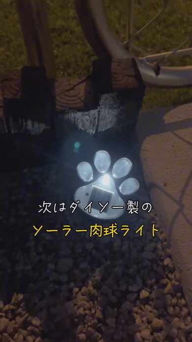 肉球型敷石を設置した状態