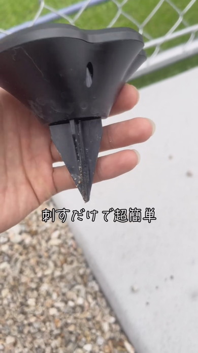 肉球型敷石を設置した状態