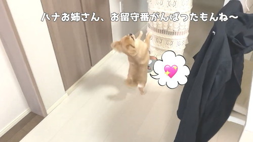 お留守番がんばった