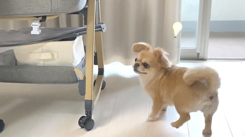 何かできること