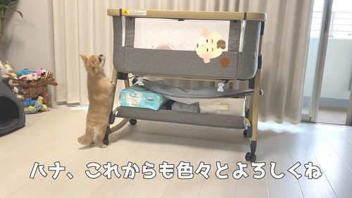 これからよろしく