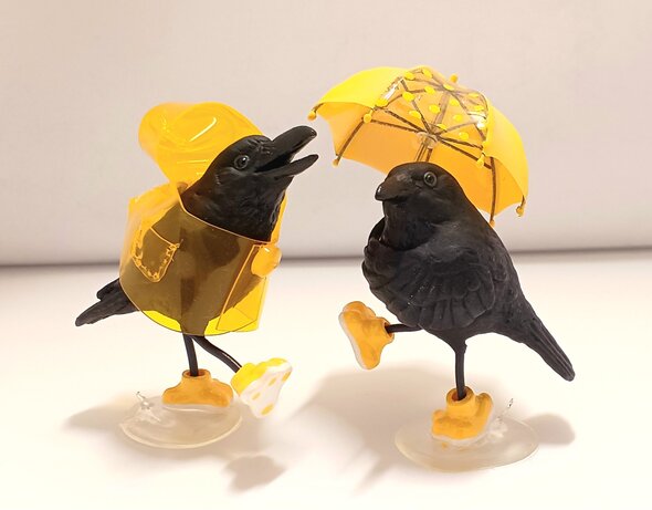 カッパカラス02