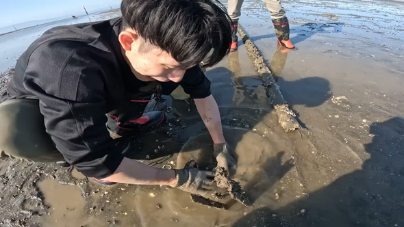 中にいた生き物