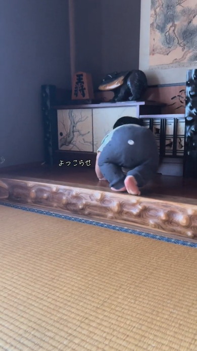 床の間から降りられない男の子