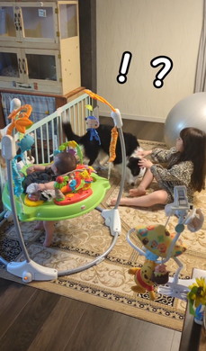 お姉ちゃんの言う事を聞くワンコ