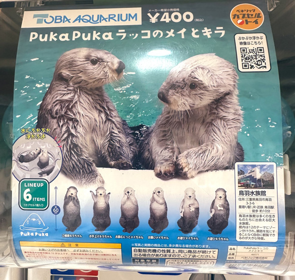 ラッコ ガチャ お風呂 浮かべる カプセルトイ PukaPuka ラッコのメイとキラ 鳥羽水族館