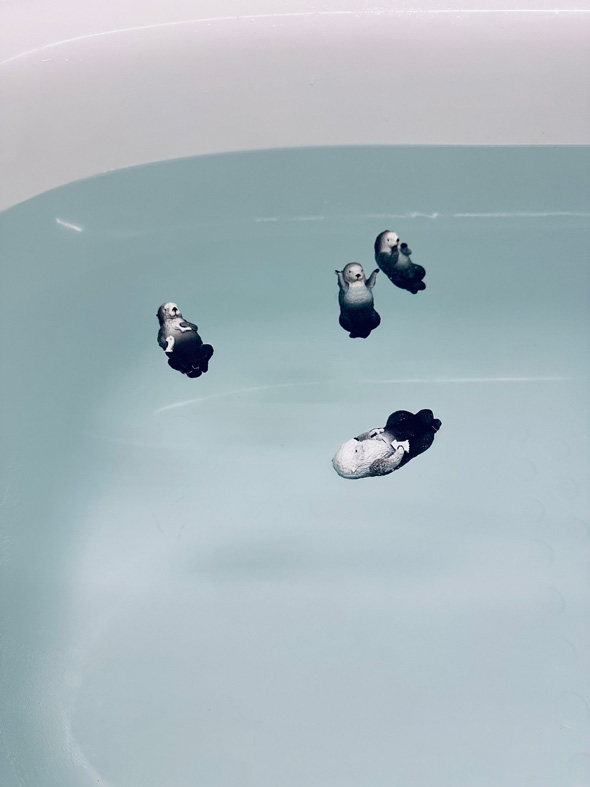 ラッコ ガチャ お風呂 浮かべる カプセルトイ PukaPuka ラッコのメイとキラ 鳥羽水族館