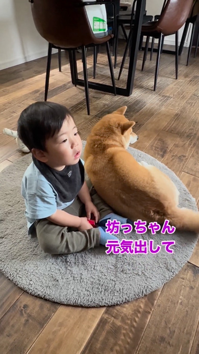 ご機嫌ななめな息子に寄り添う柴犬