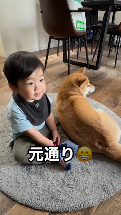 ご機嫌ななめな息子に寄り添う柴犬