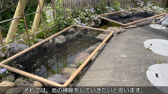 実家の池の水を全部抜いてみた