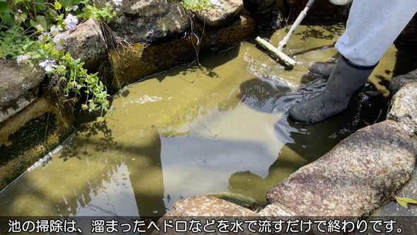 実家の池の水を全部抜いてみた