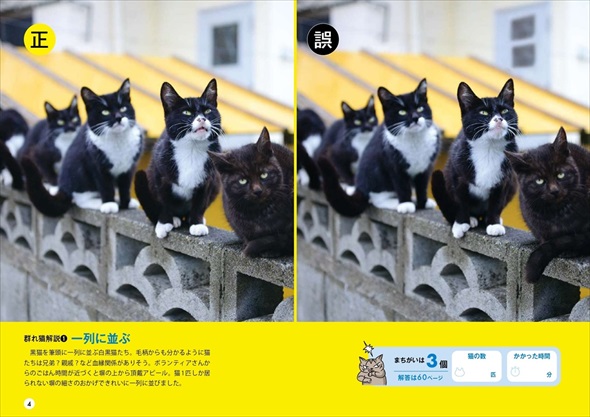 群れ猫まちがい探し