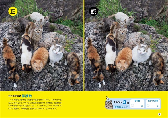 群れ猫まちがい探し