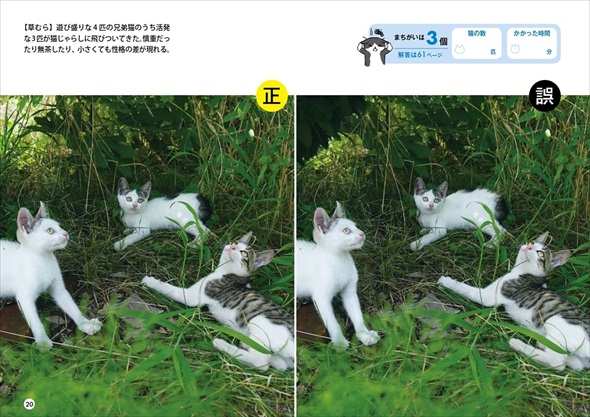 群れ猫まちがい探し