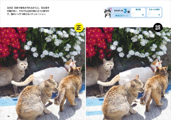 群れ猫まちがい探し