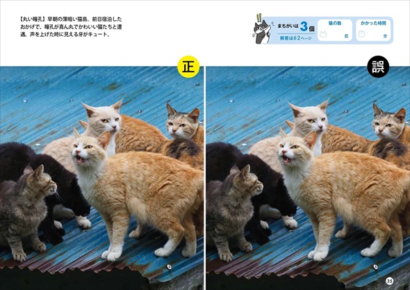 群れ猫まちがい探し