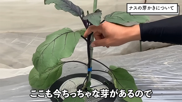 ここも今ちっちゃな