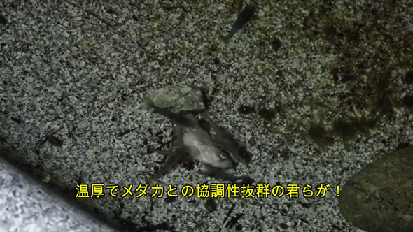 意外な犯人