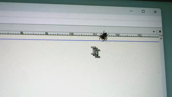 画面にとまるハエトリグモとカーソルで遊ぶ様子