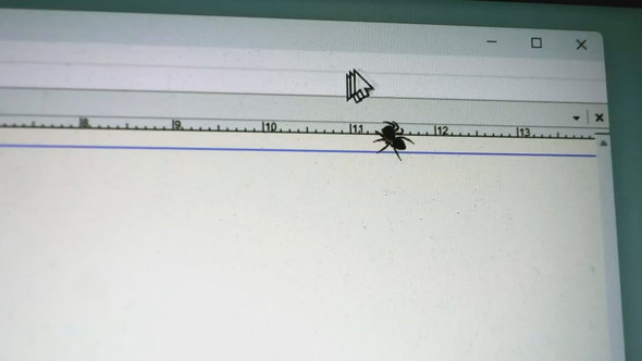 画面にとまるハエトリグモとカーソルで遊ぶ様子