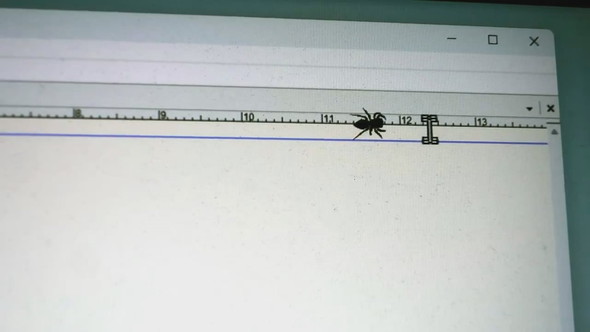 画面にとまるハエトリグモとカーソルで遊ぶ様子