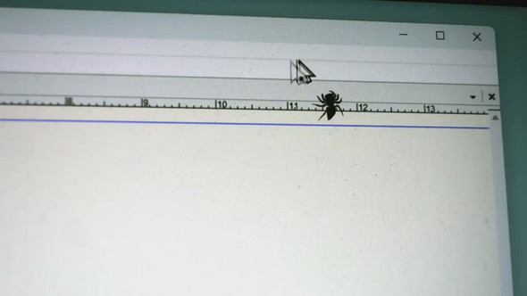 画面にとまるハエトリグモとカーソルで遊ぶ様子