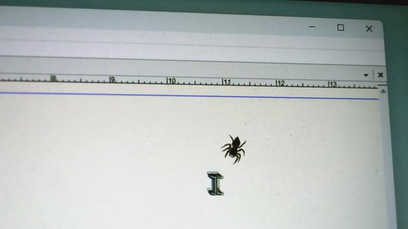 画面にとまるハエトリグモとカーソルで遊ぶ様子