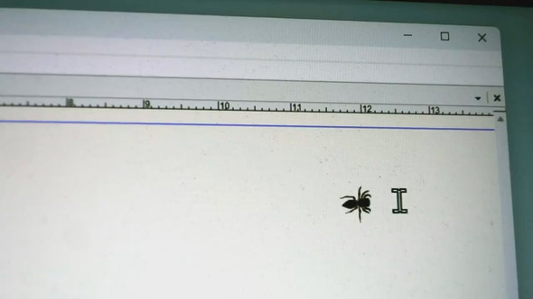 画面にとまるハエトリグモとカーソルで遊ぶ様子