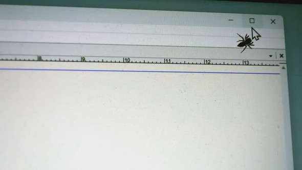 画面にとまるハエトリグモとカーソルで遊ぶ様子