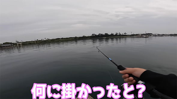 何に掛かったと？