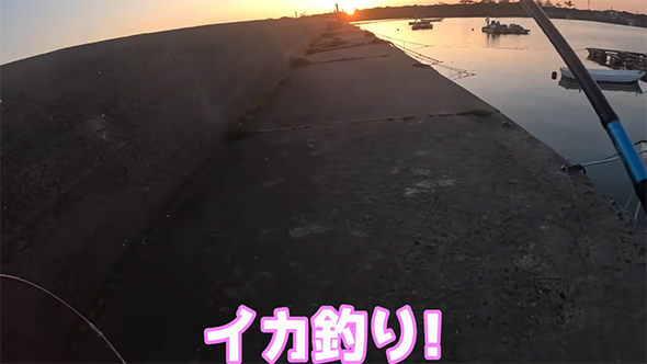 イカ釣り！